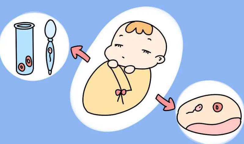 武汉试管代怀哪家安全,武汉助孕机构试管婴儿胚胎着床失败的原因