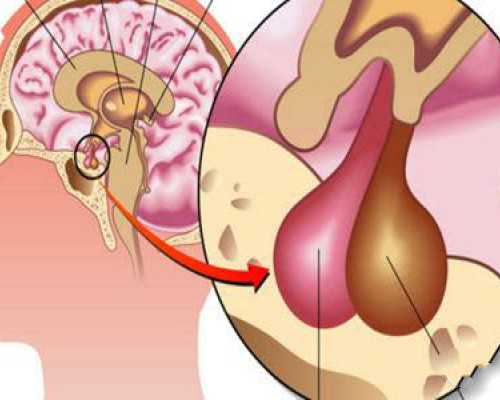 广州地下试管失败律师_多次试管失败