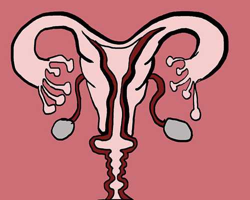 代生联系方式~移植冻囊胚的禁忌，解冻囊胚后注意事项