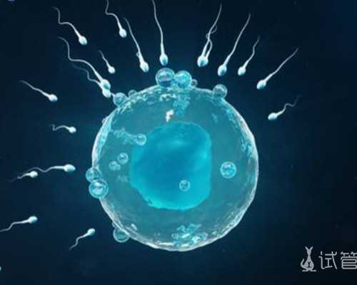 单角子宫成功生育的几率有多大 单角子宫基本不会生育？