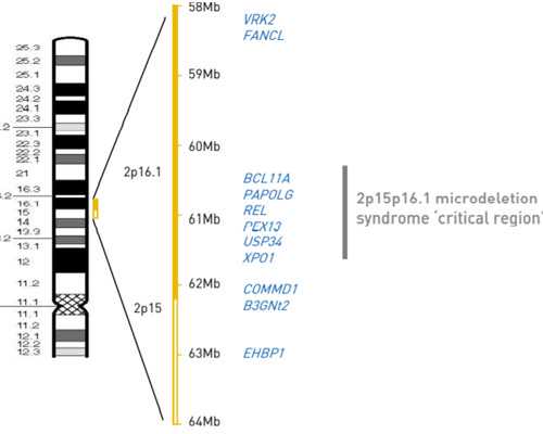 一岁半宝宝用不用上早教