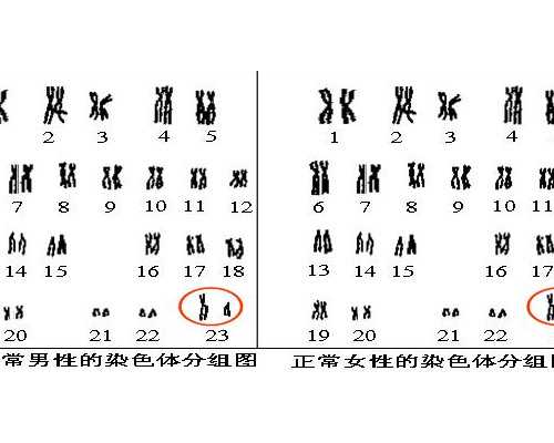 备孕吃什么好，夏天备孕这样吃，营养包满分