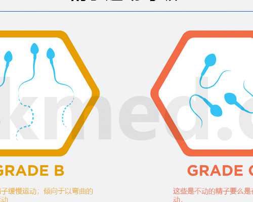 借卵代怀孩子~没有卵泡，不排卵，卵泡不成熟
