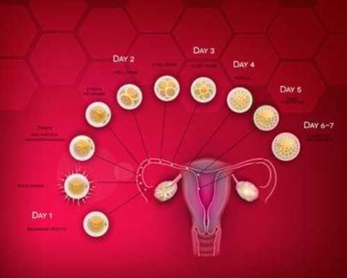 武汉三代试管医院名单推荐影响武汉试管费用的因素有哪些