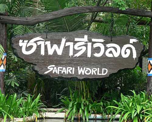 3bc囊胚第五天试管移植成功率很低吗？