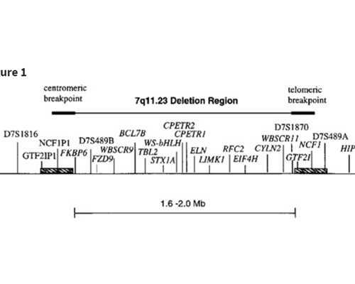 如何能够有效地停止服用黄体酮保胎呢？有什么方法可以帮助停止黄体酮的使用？