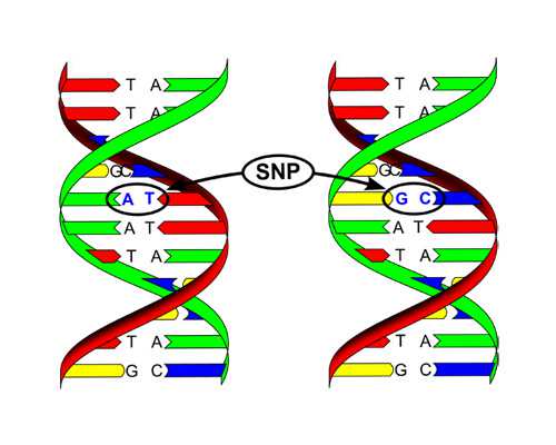 武汉供卵助孕花费,武汉三代试管包生男孩莫轻信，这三大骗局要警惕！