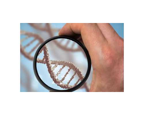 武汉合法试管代怀,武汉包生儿子,武汉三代试管包男孩机构一览!