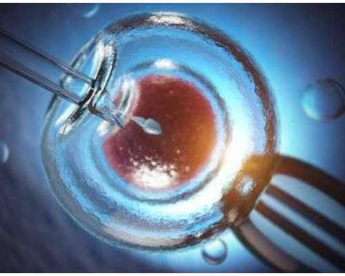 武汉怎么找人捐卵,武汉代怀孕捐卵