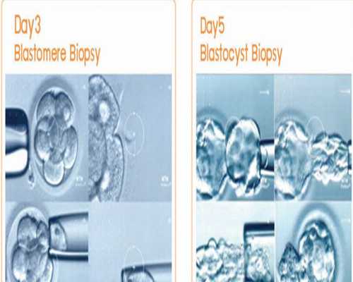 武汉正规试管代孕医院,武汉供卵助孕试管(武汉供卵试管助孕机构)