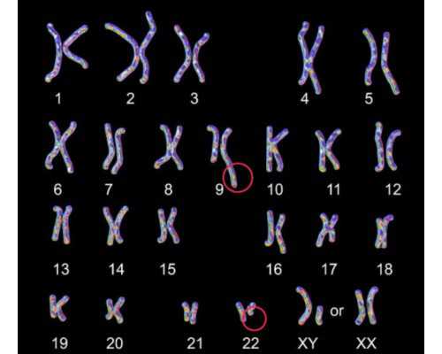 158平米的房子包括哪些功能间？装修成现代风格三居室好不好？-金桥庭院装修