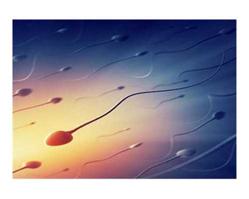 武汉代怀婴儿医院中介,武汉助孕机构供卵卵试管供卵试管生子是真的吗？