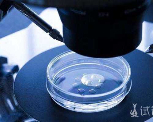 武汉哪家代孕医院,武汉试管婴儿多少钱只来武汉黄浦