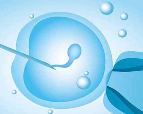 供卵代生价格~黑木耳的药用价值_黑木耳的功效与作用_黑木耳红枣汤怎么做