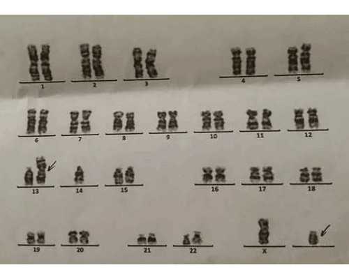 孕期各阶段适合听什么胎教音乐