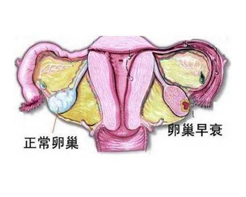 乙肝患者赴美做试管婴儿，梦美专属方案科学助孕