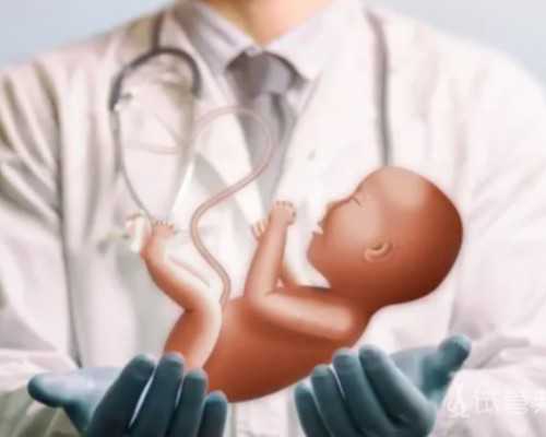 武汉帮别人助孕有多少钱,武汉供卵助孕公司排名