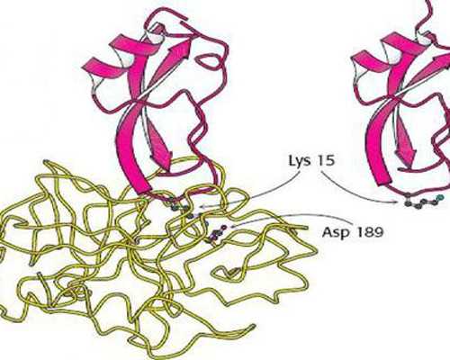 能做武汉供卵试管么,武汉供卵三代试管婴儿的价格