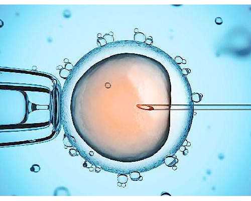 卵巢囊肿不来月经是怀孕的现象吗？