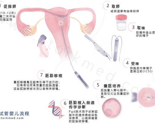 武汉供卵代孕价格,武汉供卵试管助孕(试管助孕费用多少)