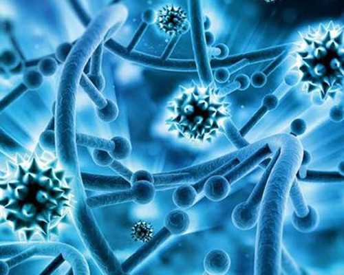 情人节双语诗歌：陈梦家《那一晚》