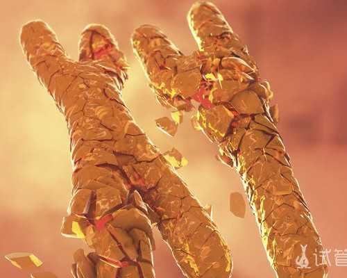 备孕男人可以补牙么_男人备孕可以养猫吗