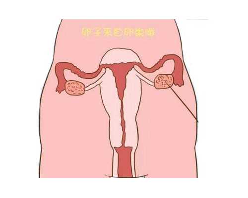 武汉代怀哪家最好,武汉三代试管婴儿成功率分别是多少？