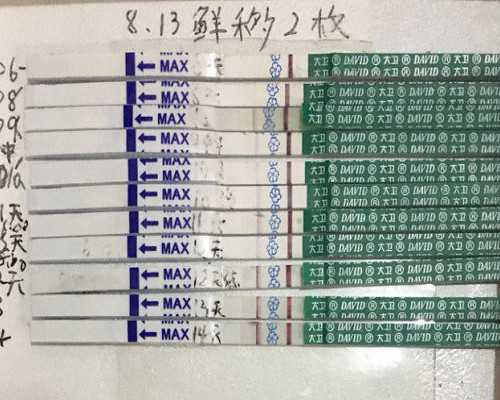 齐齐哈尔教育局距坍塌体育馆仅49米，不久前曾安全检查