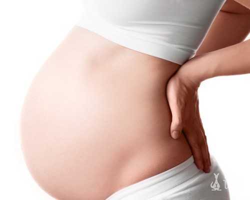 养囊结果3bc、6bc,移植应如何选,囊胚小知识看完便知