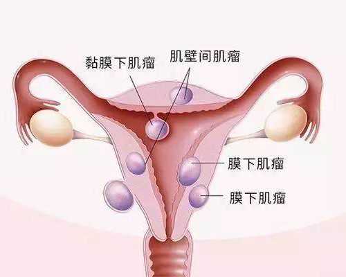 武汉代孕收费,男性和女性在武汉供卵试管医院都应该做哪些检查？