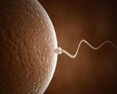 武汉供卵靠不靠谱,武汉同济医院-武汉试管婴儿收费标准