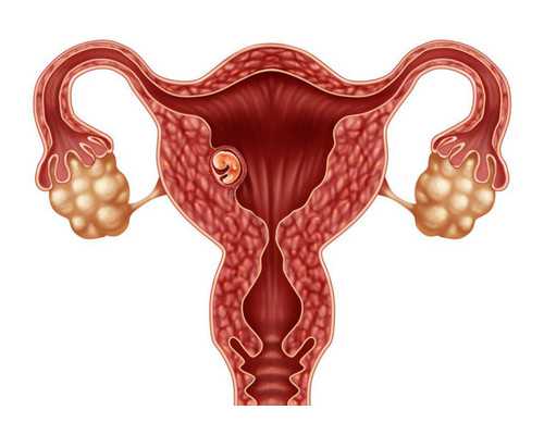 武汉试管代孕成功经验,武汉大学中南医院做试管婴儿有供精的吗？