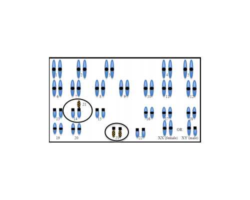 私人武汉孕妈,私人武汉孕妈