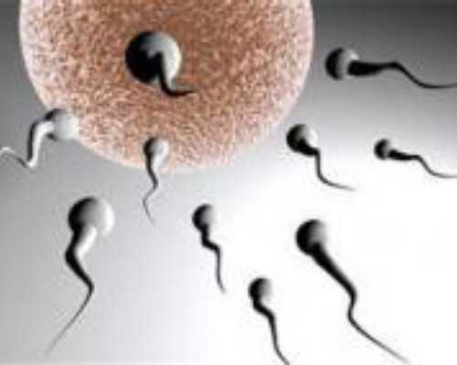 为什么hcg在涨孕酮却很低？怀孕8周孕酮下降怎么回事？