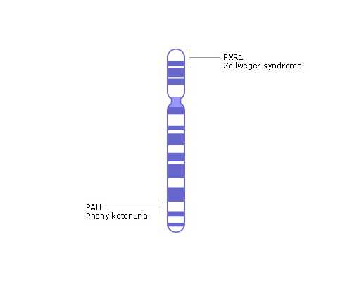 武汉找人借腹生子多少钱,武汉试管借腹生子供卵的情况