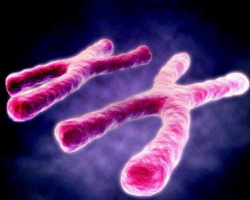 武汉供卵试管医院怎么样,武汉试管医院供卵费用多少钱？