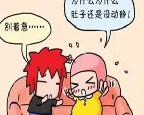 武汉供卵去哪里供,武汉供卵试管婴儿武汉供卵试管婴儿医院