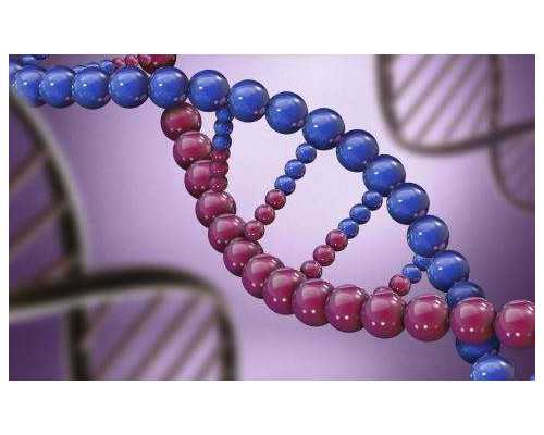 男人做试管包儿子的全部流程？附试管费用详情？