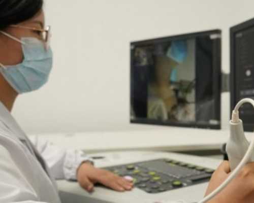 武汉包生女孩,武汉包生女孩