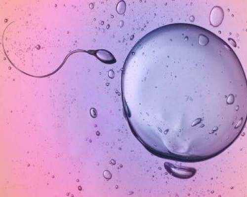 怎么导致不孕不育