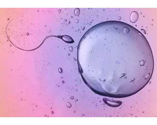 在孕期营养过盛存在很大的危害