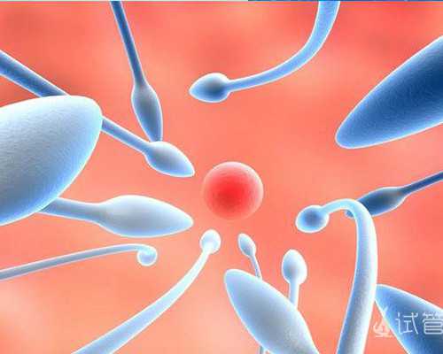 8周有胎芽无胎心孕酮降低