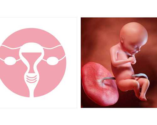 武汉同济三代试管婴儿多少钱,武汉同济医院的试管婴儿技术