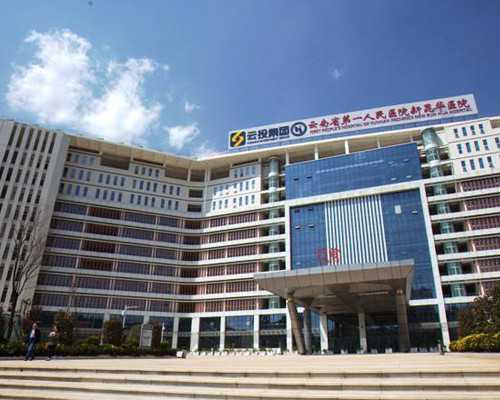 武汉武汉代孕网,武汉供卵试管婴儿武汉供卵试管婴儿医院