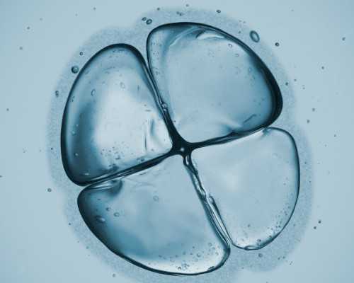 武汉代孕哪家中介比较好,湖北武汉第三代试管婴儿费用大概多少钱？价格高吗