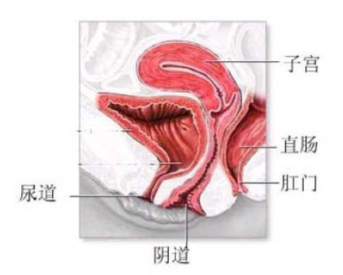 武汉代孕公司哪个好,武汉三代试管包成功，武汉试管找哪个医生