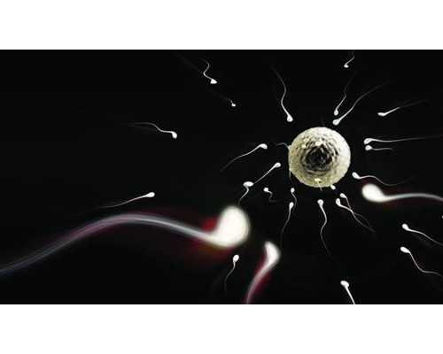 武汉供卵正规机构，武汉康健供卵