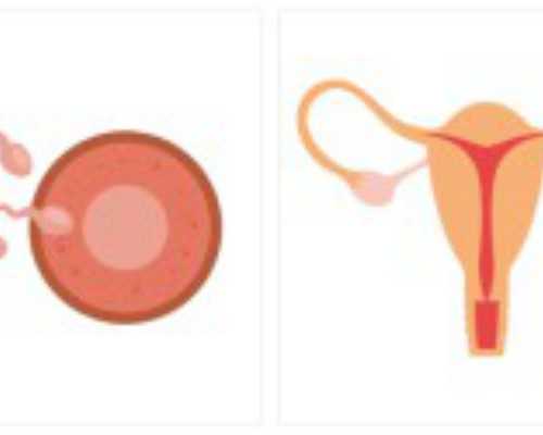 武汉试管代怀男宝宝,常州供卵的中介：武汉供卵试管中介