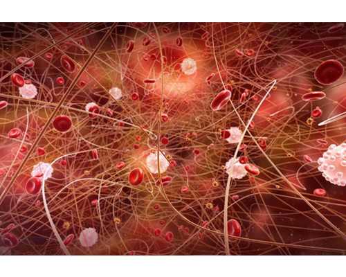 武汉代怀包选性别,武汉41岁三代试管成功率，武汉试管婴儿费用