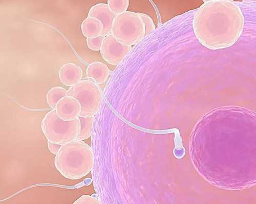 武汉哪里有人供卵试管,武汉试管婴儿供卵公司